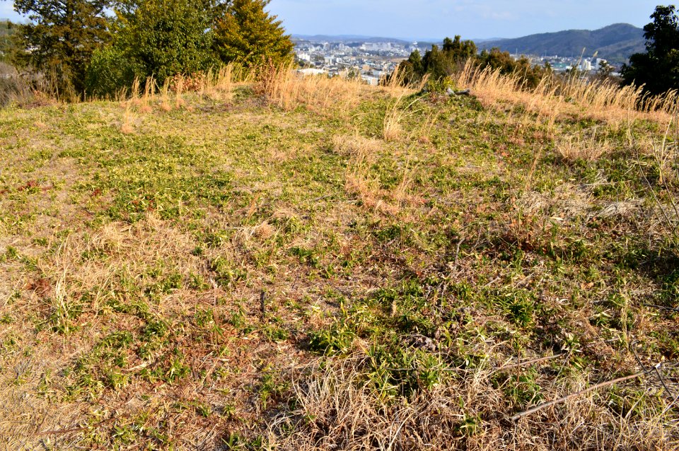 Miwayama Kofun Group-1, funcho
