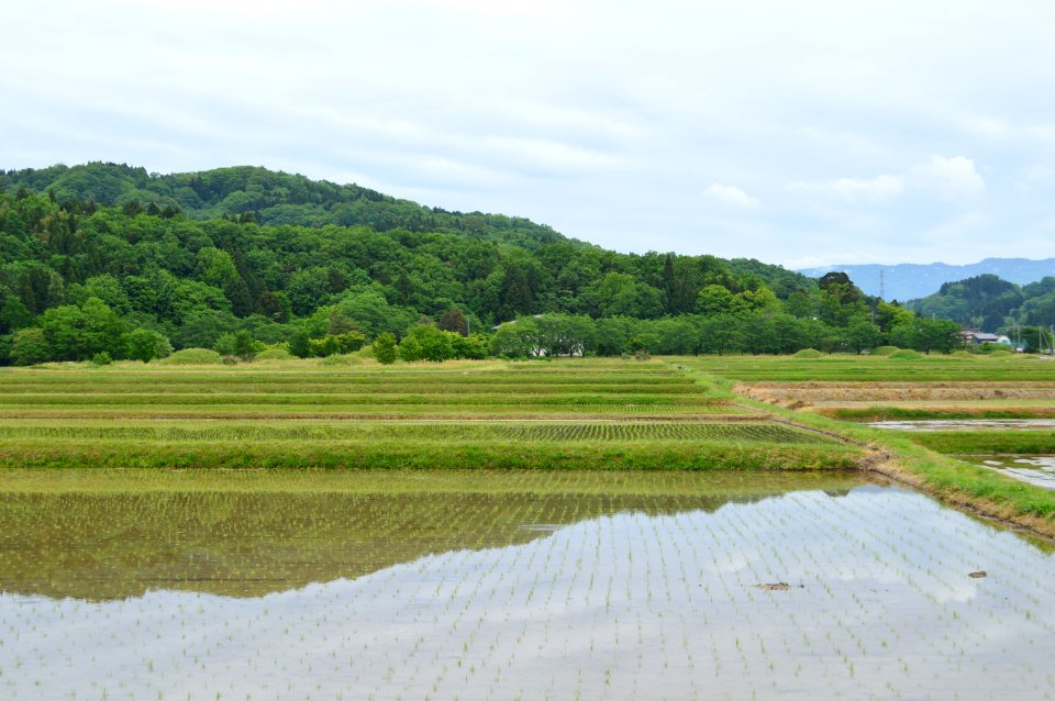 Miyaguchi Kofun Group, gaikan-1