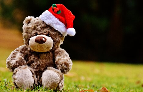 Soft toy santa hat funny