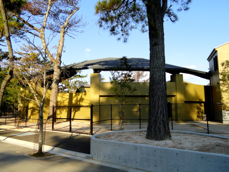 Miyajima Public Aquarium - DSC02269