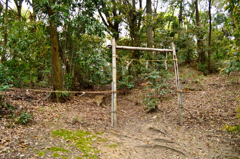 Miyajinja-urayama Kofun Group-1, funkyu