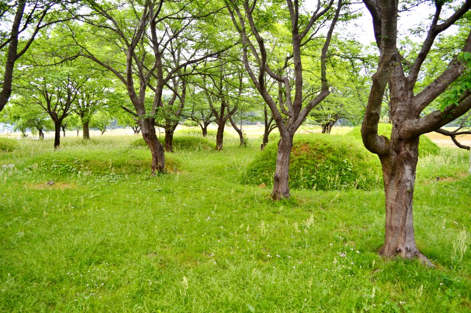 Mizushina Kofun Group, gaikan