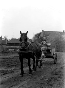 Model Eva Waldschmidt in Broek in Waterland op een paard en wagen, Bestanddeelnr 189-0434