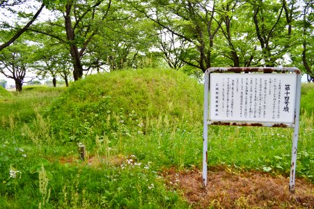 Mizushina Kofun Group-14, funkyu