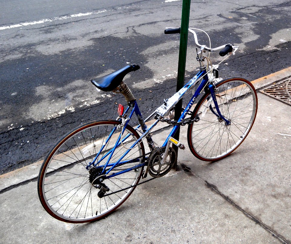 Mixte Lotus blue 50 WWP3 jeh