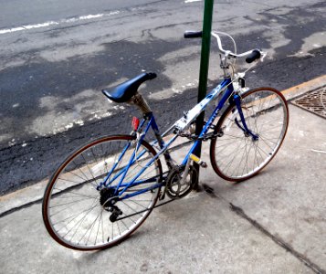 Mixte Lotus blue 50 WWP3 jeh