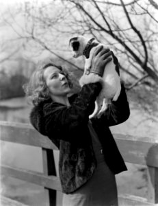 Model Eva Waldschmidt met een hondje, Bestanddeelnr 252-1504