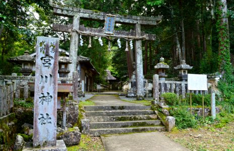 Miyagawa-jinja (Kameoka), torii
