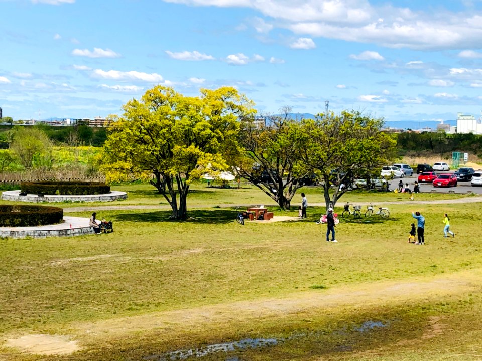 Miyaibashi-Kasen-Ryokuchi-1