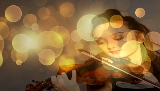 Instrument musician musical instrument