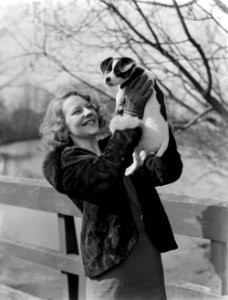 Model Eva Waldschmidt met een hondje, Bestanddeelnr 252-1505