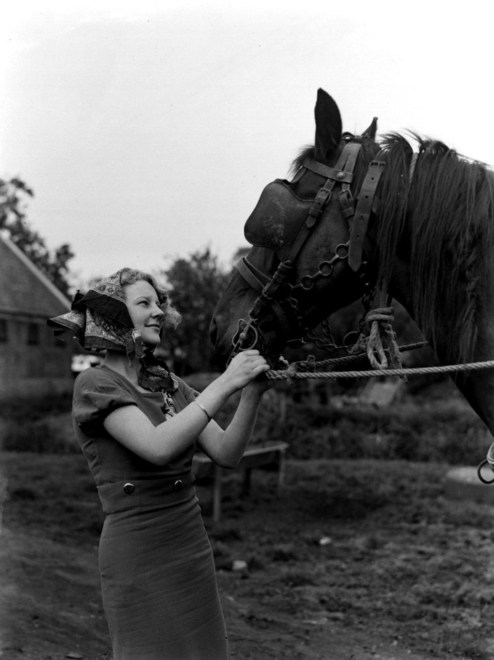 Model Eva Waldschmidt in Broek in Waterland met een paard, Bestanddeelnr 189-0428