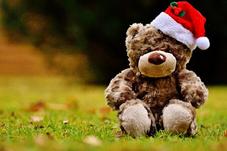 Soft toy santa hat funny