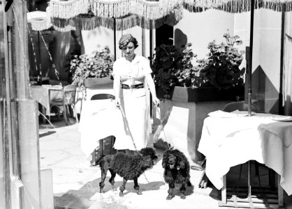 Model met honden in Parijs, Bestanddeelnr 255-8601