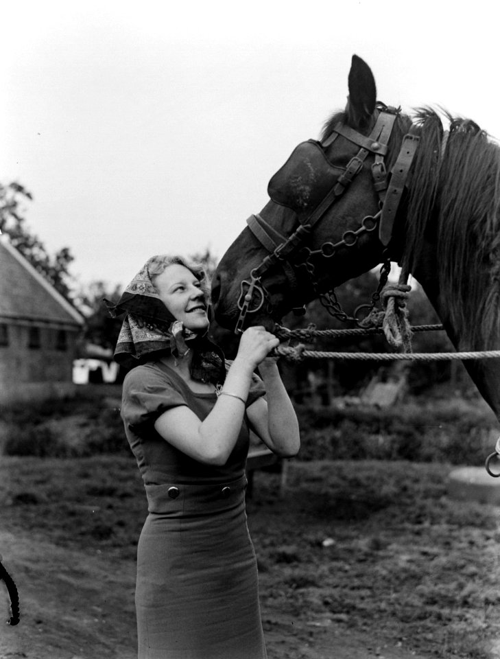 Model Eva Waldschmidt in Broek in Waterland met een paard, Bestanddeelnr 189-0433