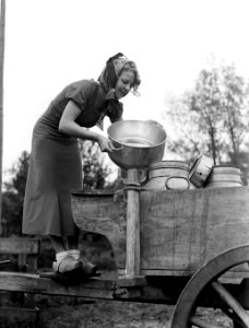 Model Eva Waldschmidt in Broek in Waterland met melkbussen op een kar, Bestanddeelnr 189-0431