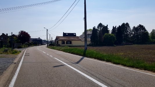 Moelingen-Withuis-Grenspaal 39 (BE-NL) (2)