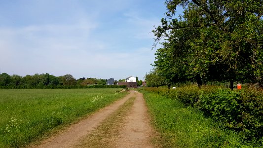 Moelingen-Withuis-Grenspaal 38 (BE-NL) (1)