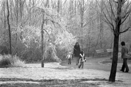 Moeder en kinderen in het winterse park, Bestanddeelnr 926-9105