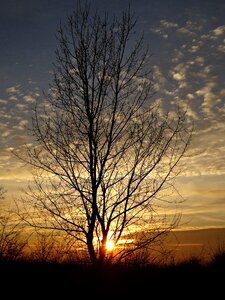 The backlight orange sky winter