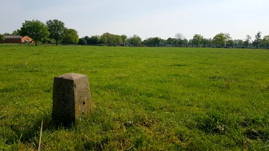 Moelingen-Withuis-Grenspaal 39c (BE-NL) (5)