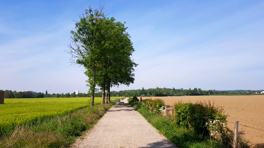 Moelingen-wegafsluiting Bijsstraat-Moelingerweg (2)