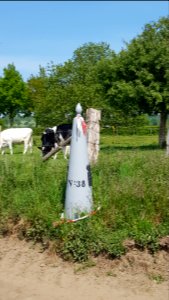 Moelingen-Withuis-Grenspaal 38 (BE-NL) (5)