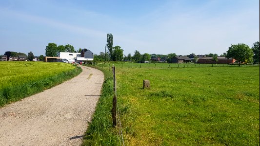 Moelingen-Withuis-Grenspaal 39c (BE-NL) (4)