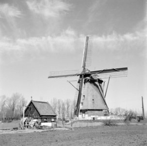 Molen aan het Gein bij Abcoude, Bestanddeelnr 254-3790