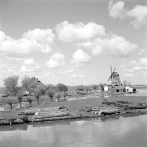 Molen bij Monnickendam met daarvoor boomstammen en al gezaagd hout, Bestanddeelnr 254-3820