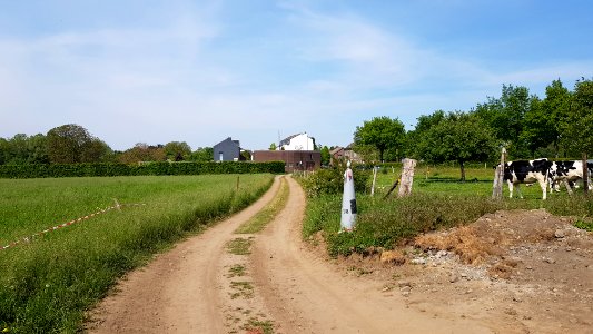 Moelingen-Withuis-Grenspaal 38 (BE-NL) (2)