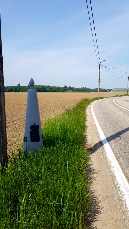 Moelingen-Withuis-Grenspaal 39 (BE-NL) (4)