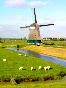 Molen de Kathammer1 nabij Volendam