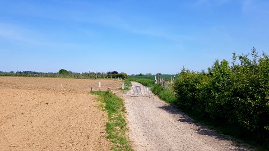 Moelingen-wegafsluiting Weg van Mesch naar Moelingen (4)