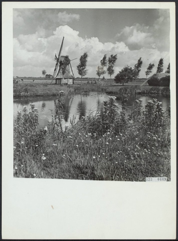 Molens, Bestanddeelnr 123-0449