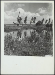 Molens, Bestanddeelnr 123-0449