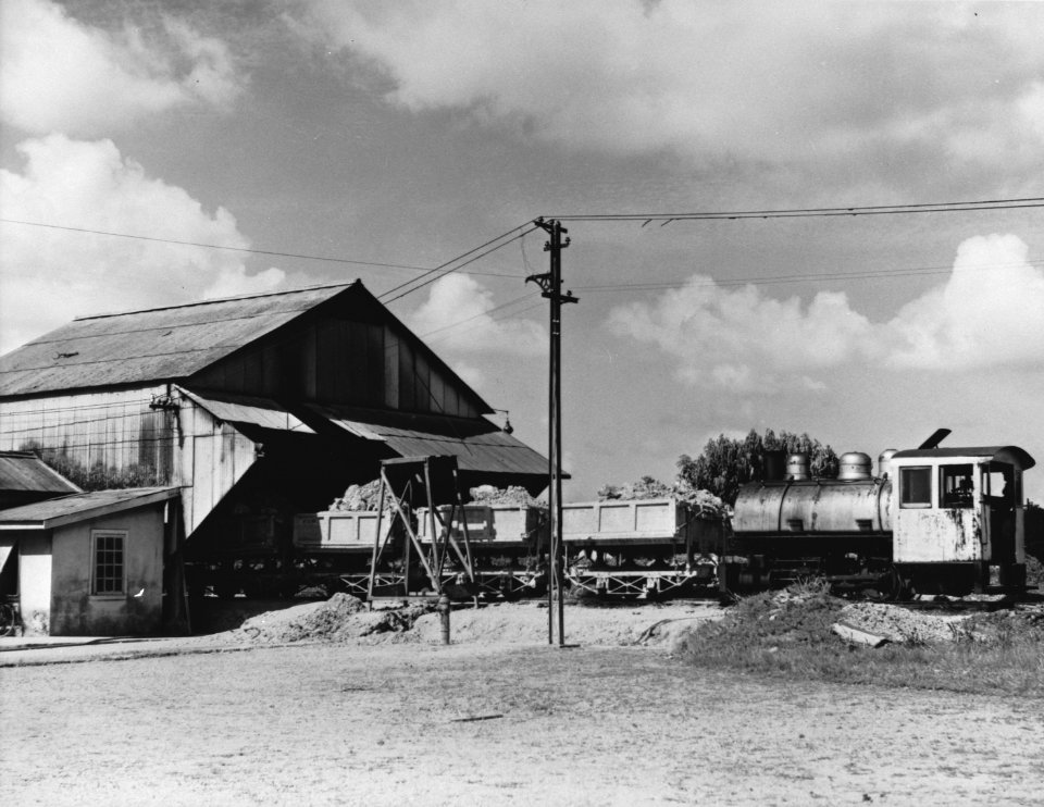 Moengoe. Bauxietmijn en-fabriek. Transport via smalspoor, Bestanddeelnr 935-1364