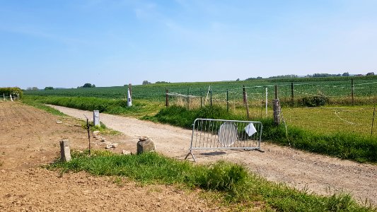Moelingen-Mesch-Grenspaal 36 (BE-NL) (7)