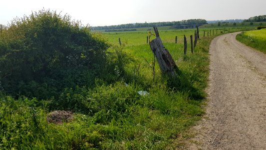 Moelingen-Withuis-Grenspaal 39b (BE-NL) (4)