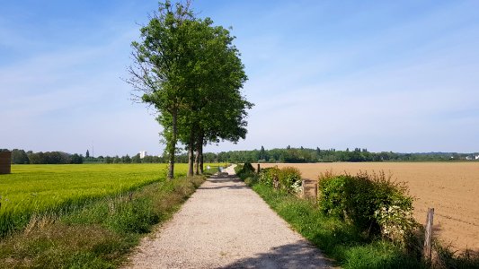 Moelingen-wegafsluiting Bijsstraat-Moelingerweg (1)