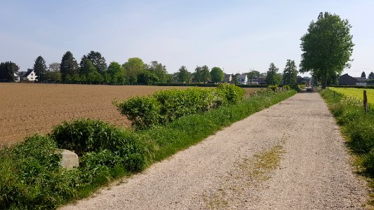Moelingen-Withuis-Grenspaal 39a (BE-NL) (1)