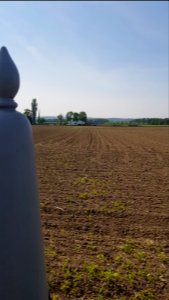 Moelingen-Withuis-Grenspaal 39 (BE-NL) (7)