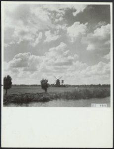 Molens, Bestanddeelnr 123-0446