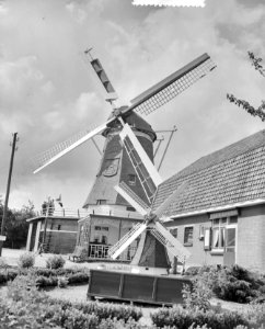 Molen Kootwijkerbroek (Barneveld) 100 jaar, Bestanddeelnr 934-5996