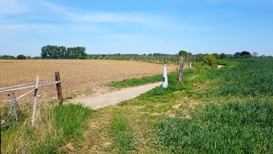 Moelingen-Mesch-Grenspaal 36 (BE-NL) (3)