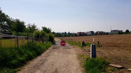 Moelingen-Mesch-Grenspaal 36a (BE-NL) (3)