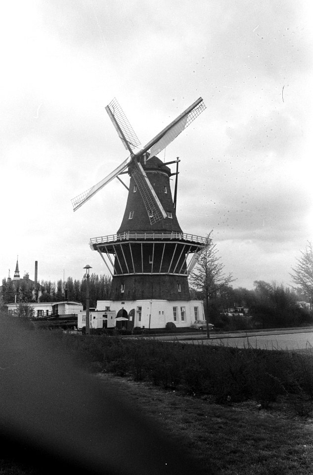 Molen de Bloemde Blom Attractie voor toeristen, Bestanddeelnr 913-9212