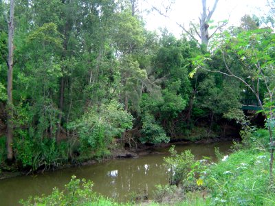 Moggill Creek Kenmore