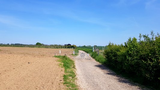 Moelingen-Mesch-Grenspaal 36a (BE-NL) (2)