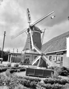 Molen Kootwijkerbroek (Barneveld) 100 jaar, Bestanddeelnr 934-5995